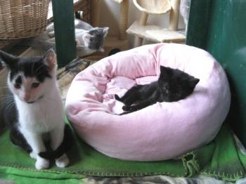 Bild von Wilma