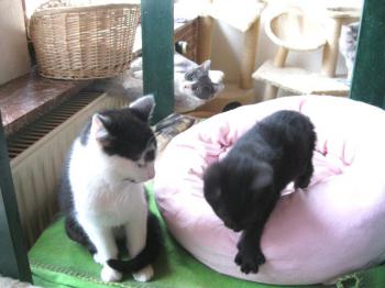 Bild von Wilma