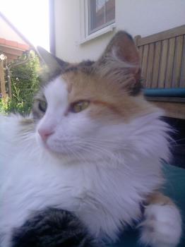 z Bild von Zeina