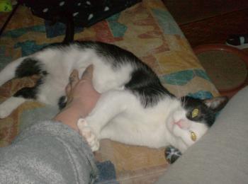 m Bild von Maia