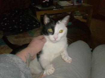 m Bild von Maia