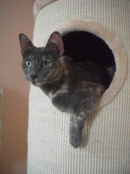 y Bild von Yumi