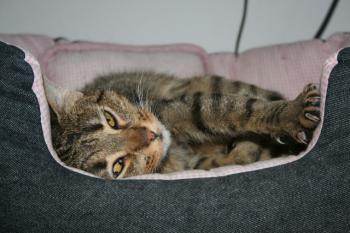 g Bild von Galita