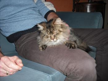 m Bild von Magali 5358