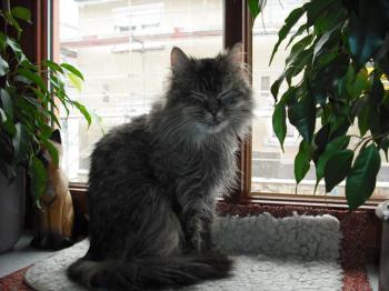 m Bild von Magali 5358