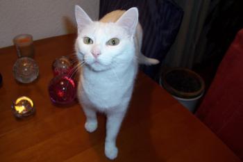 a Bild von Anna