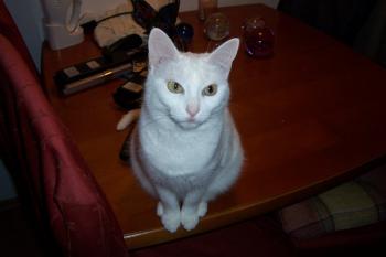 a Bild von Anna