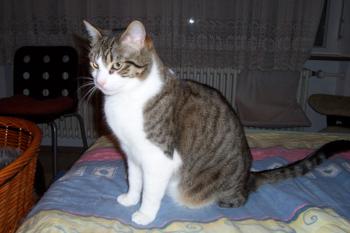 j Bild von Jamin