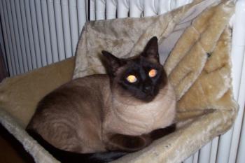 l Bild von Sunny