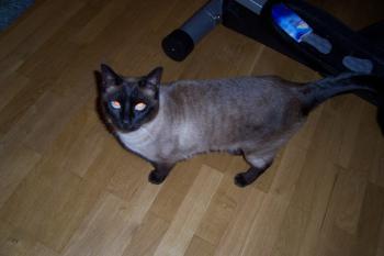 l Bild von Sunny