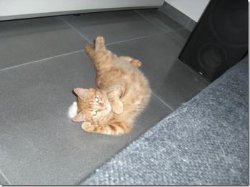 m Bild von Milono