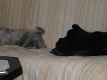 m Bild von Moris