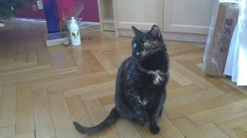 c Bild von Casey