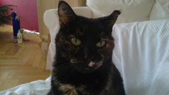 c Bild von Casey