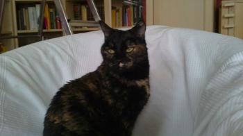 c Bild von Casey