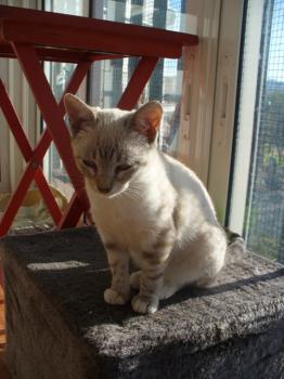o Bild von Celeste