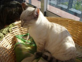 o Bild von Celeste