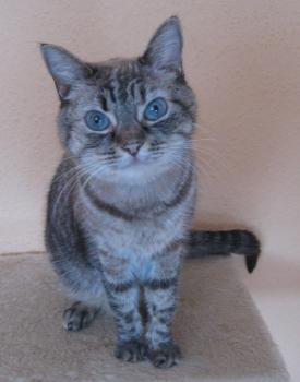 n Bild von Nena