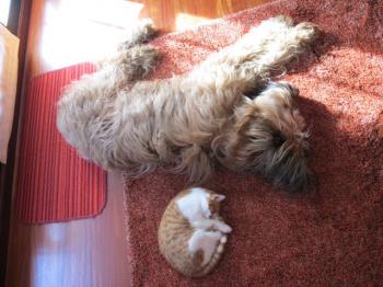 q Bild von Quini