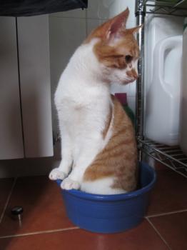 q Bild von Quini