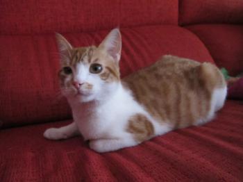 q Bild von Quini
