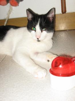 p Bild von Pablo