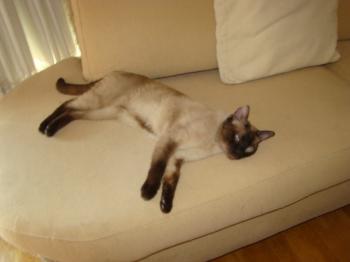 Lenny Bild von Lenny