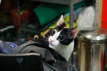 s Bild von Sandy