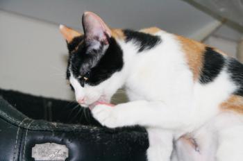 s Bild von Sandy