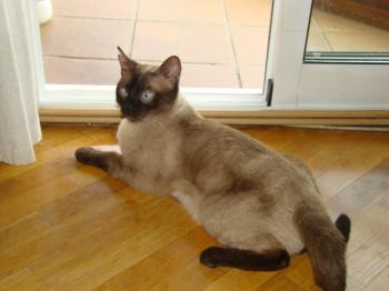 Lenny Bild von Lenny