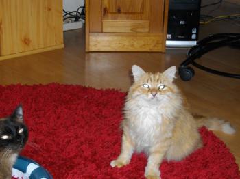 m Bild von Micho