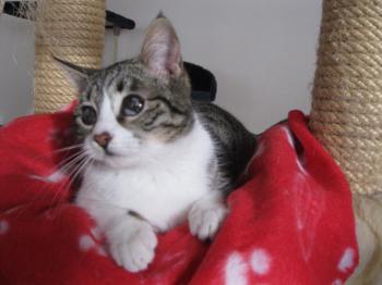 c Bild von Carlota - Flora