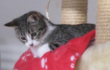c Bild von Carlota - Flora