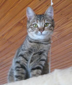 m Bild von Maggie