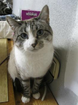 m Bild von Mina