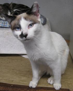 c Bild von Casper