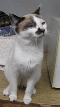 c Bild von Casper