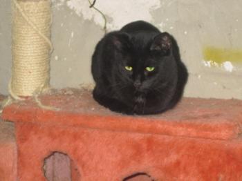 t Bild von Tulio