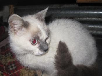 b Bild von Baby