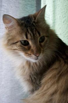 l Bild von Lucas