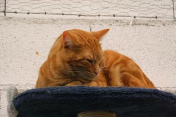 Bild von Martinez - One