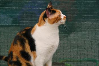 m Bild von Michus