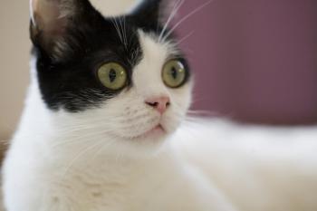 m Bild von Mitxi