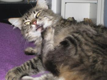 Pia Bild von Pia