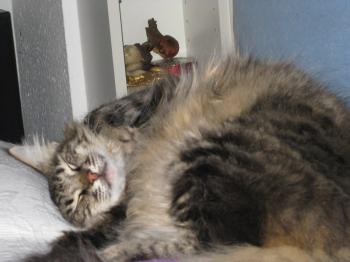 p Bild von Pia