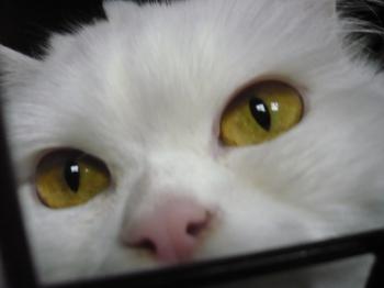 Ohne Namen 3864 Bild von Nala