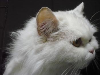 Ohne Namen 3864 Bild von Nala