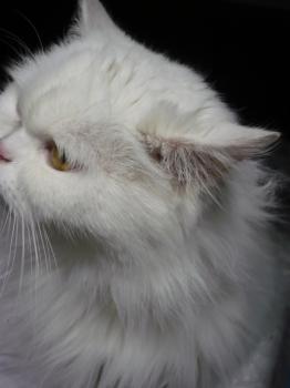 Ohne Namen 3864 Bild von Nala