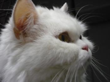 Ohne Namen 3864 Bild von Nala