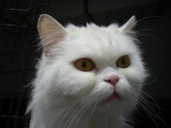 Ohne Namen 3864 Bild von Nala